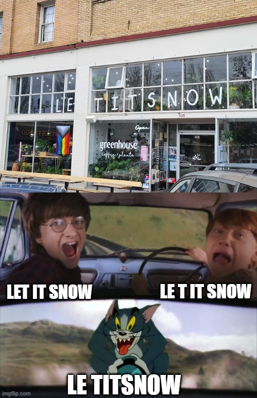 let it snow | LE T IT SNOW; LET IT SNOW; LE TITSNOW | image tagged in tom chasing harry and ron weasly,memes,you had one job,failure,design fails,crappy design | made w/ Imgflip meme maker