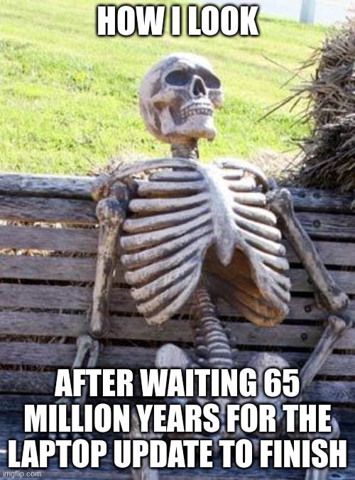 Why is the laptop taking eons to update? | HOW I LOOK; AFTER WAITING 65 MILLION YEARS FOR THE LAPTOP UPDATE TO FINISH | image tagged in memes,waiting skeleton | made w/ Imgflip meme maker