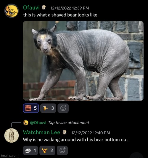 It's unbearable | image tagged in discord,memes | made w/ Imgflip meme maker