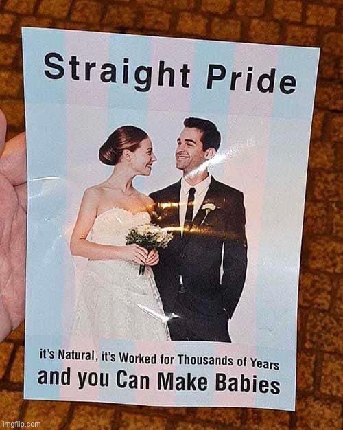 Straight pride | image tagged in straight pride | made w/ Imgflip meme maker