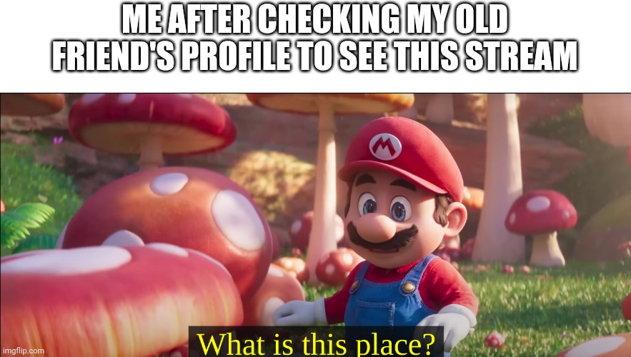 What is this place? | ME AFTER CHECKING MY OLD FRIEND'S PROFILE TO SEE THIS STREAM | image tagged in what is this place | made w/ Imgflip meme maker