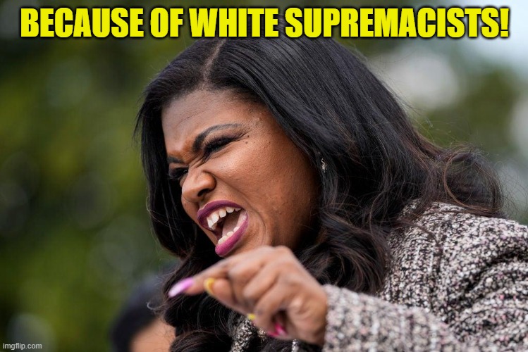 cori bush | BECAUSE OF WHITE SUPREMACISTS! | image tagged in cori bush | made w/ Imgflip meme maker