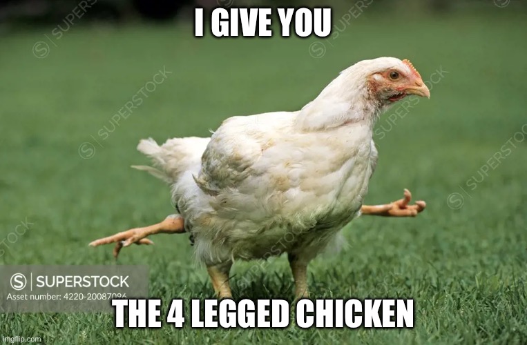 Who likes drumsticks? | I GIVE YOU THE 4 LEGGED CHICKEN | image tagged in chicken,is four a lot,drumstick | made w/ Imgflip meme maker