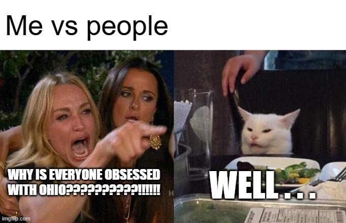 Woman Yelling At Cat |  Me vs people; WHY IS EVERYONE OBSESSED WITH OHIO??????????!!!!!! WELL . . . | image tagged in memes,woman yelling at cat | made w/ Imgflip meme maker
