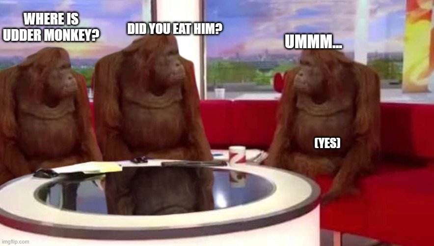 where monkey | DID YOU EAT HIM? WHERE IS UDDER MONKEY? UMMM... (YES) | image tagged in funny | made w/ Imgflip meme maker