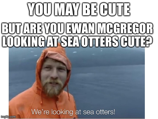 He’s so wholesome | YOU MAY BE CUTE; BUT ARE YOU EWAN MCGREGOR LOOKING AT SEA OTTERS CUTE? | image tagged in wholesome | made w/ Imgflip meme maker