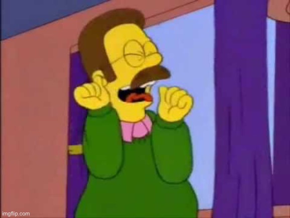Ned flanders emocionado | image tagged in ned flanders emocionado | made w/ Imgflip meme maker