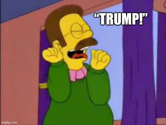 Ned flanders emocionado | “TRUMP!” | image tagged in ned flanders emocionado | made w/ Imgflip meme maker