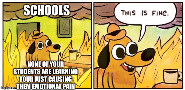 Schools be like: | SCHOOLS; NONE OF YOUR STUDENTS ARE LEARNING YOUR JUST CAUSING THEM EMOTIONAL PAIN | image tagged in memes,this is fine | made w/ Imgflip meme maker