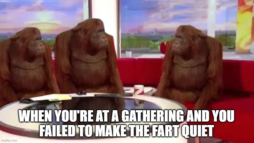 where monkey | WHEN YOU'RE AT A GATHERING AND YOU
FAILED TO MAKE THE FART QUIET | image tagged in where monkey | made w/ Imgflip meme maker