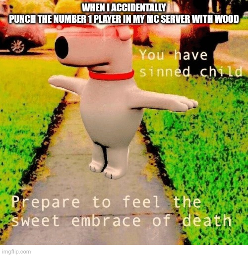 You have sinned child prepare to feel the sweet embrace of death | WHEN I ACCIDENTALLY PUNCH THE NUMBER 1 PLAYER IN MY MC SERVER WITH WOOD | image tagged in you have sinned child prepare to feel the sweet embrace of death | made w/ Imgflip meme maker