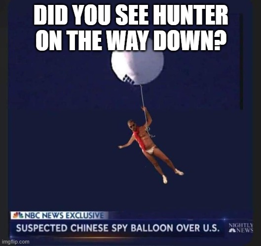 Hunter Biden China Balloon | DID YOU SEE HUNTER
ON THE WAY DOWN? | image tagged in hunter biden china balloon | made w/ Imgflip meme maker