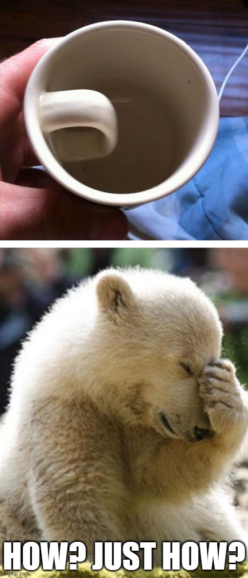 Can someone please explain to me how it's possible to mess up on a mug handle? | HOW? JUST HOW? | image tagged in memes,facepalm bear,mug | made w/ Imgflip meme maker
