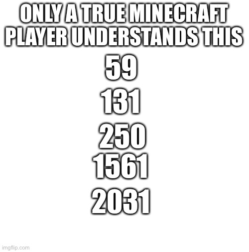 If u don’t know, u should start paying attention to your tools | ONLY A TRUE MINECRAFT PLAYER UNDERSTANDS THIS; 59; 131; 250; 1561; 2031 | image tagged in minecraft,diamonds,netherite,iron,wood,stone | made w/ Imgflip meme maker