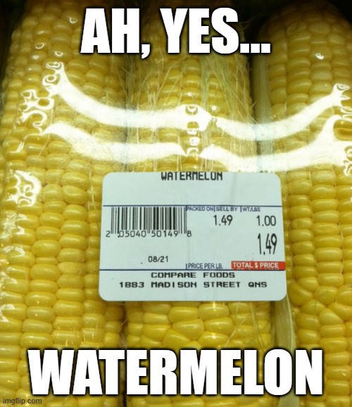 Would anyone like some fresh watermelon on the cob? | AH, YES... WATERMELON | image tagged in corn,watermelon,bruh moment | made w/ Imgflip meme maker