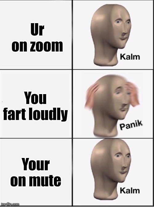 Covid | Ur on zoom; You fart loudly; Your on mute | image tagged in reverse kalm panik | made w/ Imgflip meme maker