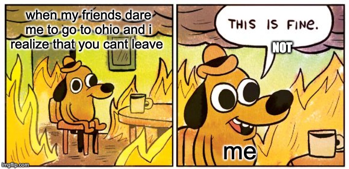 This Is Fine | when my friends dare me to go to ohio and i realize that you cant leave; NOT; me | image tagged in memes,this is fine | made w/ Imgflip meme maker