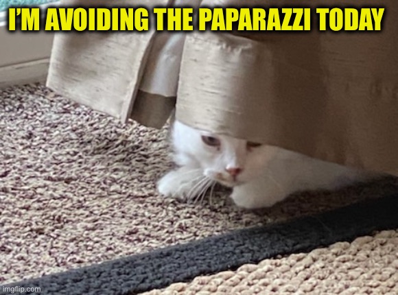 I’M AVOIDING THE PAPARAZZI TODAY | made w/ Imgflip meme maker