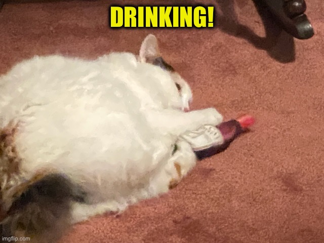 DRINKING! | made w/ Imgflip meme maker