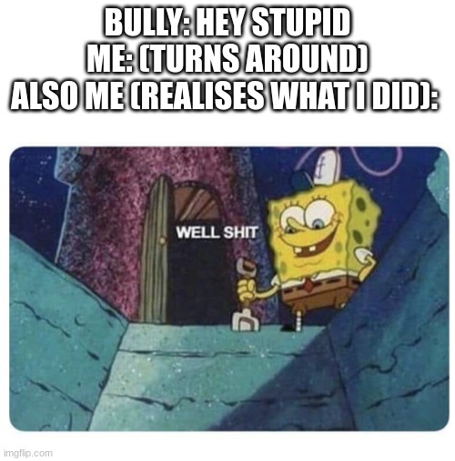 my name is stupid | BULLY: HEY STUPID
ME: (TURNS AROUND)
ALSO ME (REALISES WHAT I DID): | image tagged in well shit spongebob edition | made w/ Imgflip meme maker