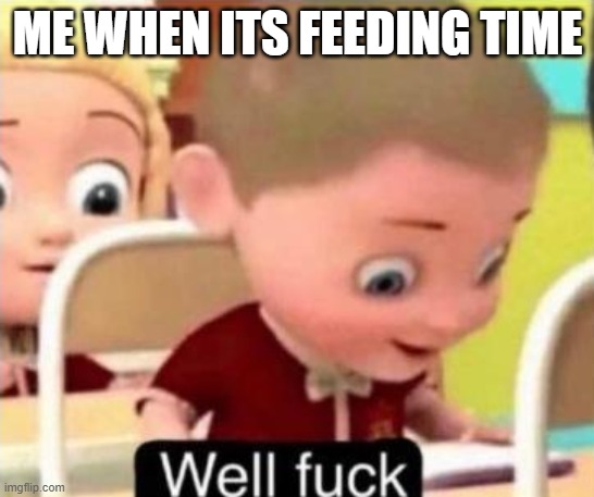 feeding | ME WHEN ITS FEEDING TIME | image tagged in well frick | made w/ Imgflip meme maker