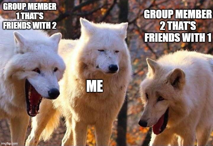 Laughing wolf | GROUP MEMBER 1 THAT'S FRIENDS WITH 2; GROUP MEMBER 2 THAT'S FRIENDS WITH 1; ME | image tagged in laughing wolf | made w/ Imgflip meme maker