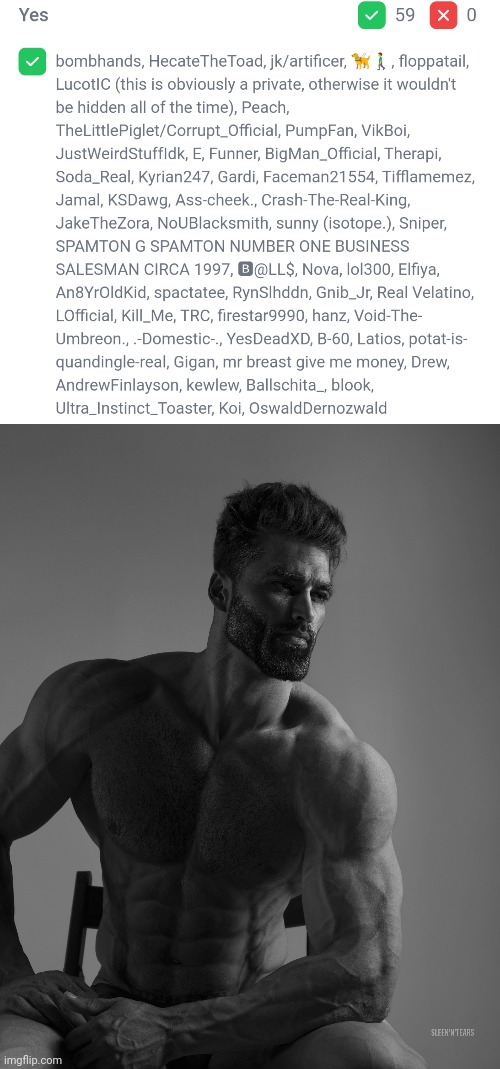 image tagged in giga chad | made w/ Imgflip meme maker