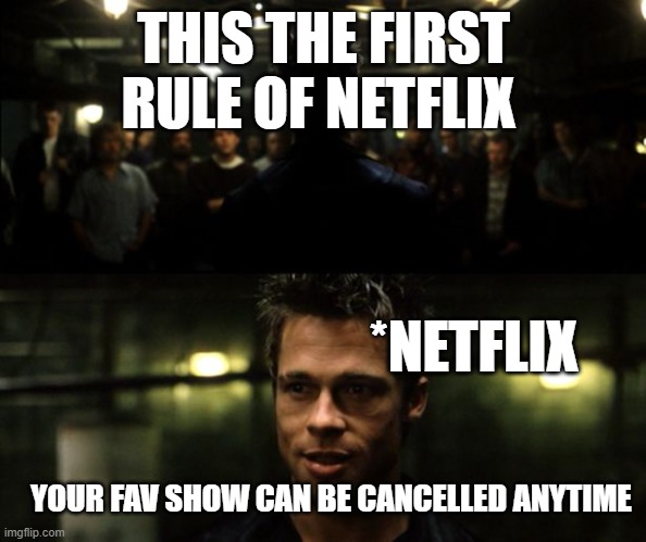 Netflix's quest!! | THIS THE FIRST RULE OF NETFLIX; *NETFLIX; YOUR FAV SHOW CAN BE CANCELLED ANYTIME | image tagged in first rule of the fight club | made w/ Imgflip meme maker