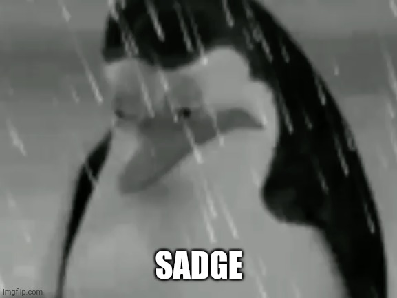 Sadge | SADGE | image tagged in sadge | made w/ Imgflip meme maker