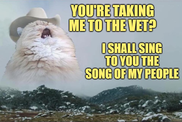 Cat Life: Vet Visit Humor | YOU'RE TAKING ME TO THE VET? I SHALL SING TO YOU THE SONG OF MY PEOPLE | image tagged in screaming cowboy cat,cats,funny memes,humor,lol,i love cats | made w/ Imgflip meme maker