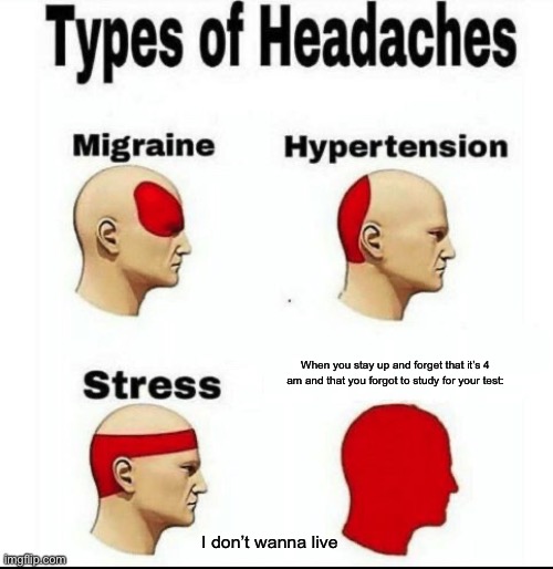 Types of Headaches meme | When you stay up and forget that it’s 4 am and that you forgot to study for your test:; I don’t wanna live | image tagged in types of headaches meme | made w/ Imgflip meme maker
