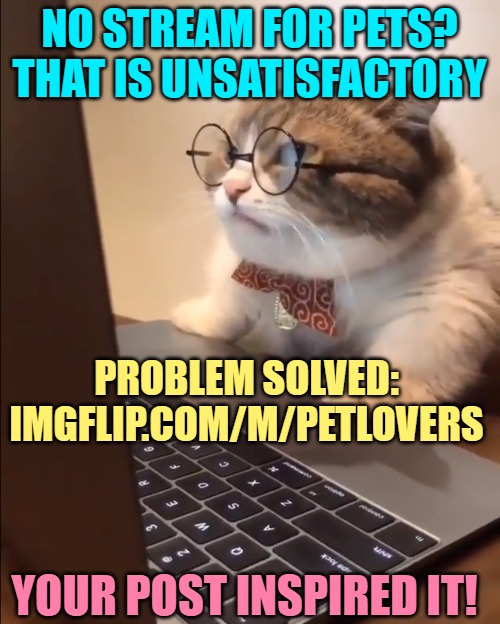 research cat | NO STREAM FOR PETS?
THAT IS UNSATISFACTORY PROBLEM SOLVED:
IMGFLIP.COM/M/PETLOVERS YOUR POST INSPIRED IT! | image tagged in research cat | made w/ Imgflip meme maker