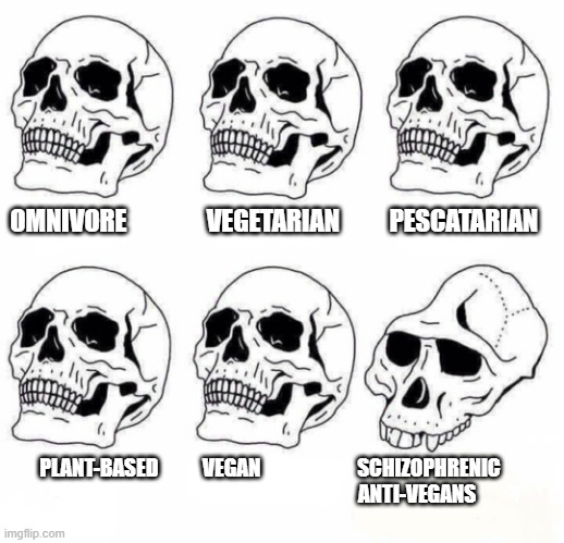 Idiot Skull Meme | OMNIVORE                VEGETARIAN          PESCATARIAN; PLANT-BASED           VEGAN                        SCHIZOPHRENIC      
                                                                   ANTI-VEGANS | image tagged in idiot skull meme | made w/ Imgflip meme maker