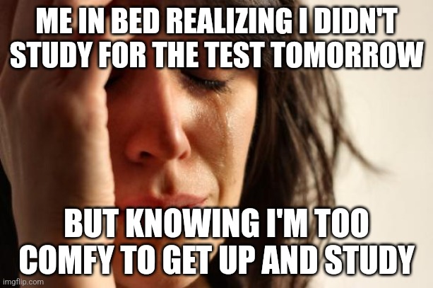 This really happsned last night lol | ME IN BED REALIZING I DIDN'T STUDY FOR THE TEST TOMORROW; BUT KNOWING I'M TOO COMFY TO GET UP AND STUDY | image tagged in memes,first world problems | made w/ Imgflip meme maker