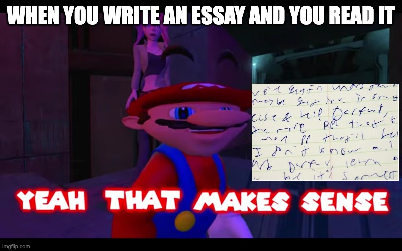 Essay | WHEN YOU WRITE AN ESSAY AND YOU READ IT | image tagged in yeah that makes sense smg4,true story,essay,school | made w/ Imgflip meme maker