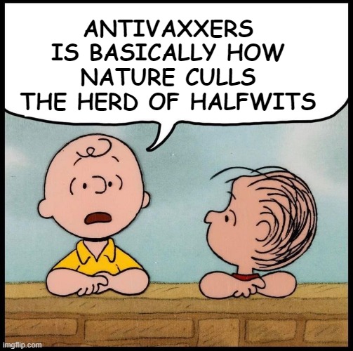 say it isnt so Charlie Brown | ANTIVAXXERS IS BASICALLY HOW NATURE CULLS THE HERD OF HALFWITS | image tagged in charlie brown peanuts,covid,vaccines,antivaxxers,viruses,illness | made w/ Imgflip meme maker