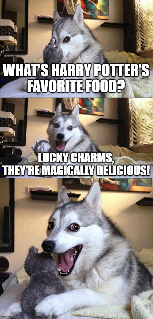 Bad Pun Dog Meme | WHAT'S HARRY POTTER'S
FAVORITE FOOD? LUCKY CHARMS,
THEY'RE MAGICALLY DELICIOUS! | image tagged in memes,bad pun dog | made w/ Imgflip meme maker