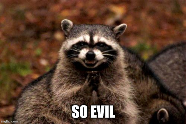 Evil Plotting Raccoon Meme | SO EVIL | image tagged in memes,evil plotting raccoon | made w/ Imgflip meme maker