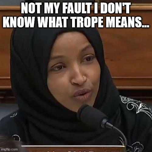 Ilhan Omar | NOT MY FAULT I DON'T KNOW WHAT TROPE MEANS... | image tagged in ilhan omar | made w/ Imgflip meme maker
