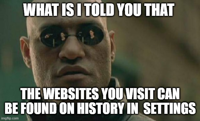 Matrix Morpheus Meme | WHAT IS I TOLD YOU THAT THE WEBSITES YOU VISIT CAN BE FOUND ON HISTORY IN  SETTINGS | image tagged in memes,matrix morpheus | made w/ Imgflip meme maker
