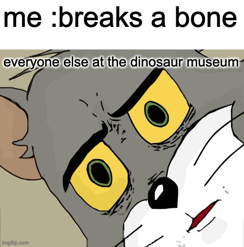 Unsettled Tom Meme | me :breaks a bone; everyone else at the dinosaur museum | image tagged in memes,unsettled tom | made w/ Imgflip meme maker