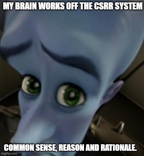 Megamind no bitches | MY BRAIN WORKS OFF THE CSRR SYSTEM; COMMON SENSE, REASON AND RATIONALE. | image tagged in megamind no bitches | made w/ Imgflip meme maker