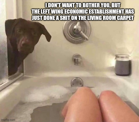 Dog meme | I DON'T WANT TO BOTHER YOU, BUT THE LEFT WING ECONOMIC ESTABLISHMENT HAS JUST DONE A SHIT ON THE LIVING ROOM CARPET | image tagged in funny | made w/ Imgflip meme maker