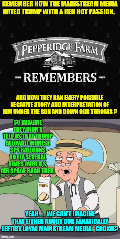 Some food for thought that obviously bypasses the mental capacity of all leftists. | REMEMBER HOW THE MAINSTREAM MEDIA HATED TRUMP WITH A RED HOT PASSION, AND HOW THEY RAN EVERY POSSIBLE NEGATIVE STORY AND INTERPRETATION OF HIM UNDER THE SUN AND DOWN OUR THROATS ? SO IMAGINE THEY DIDN'T TELL US THAT TRUMP ALLOWED CHINESE SPY BALLOONS TO FLY SEVERAL TIMES OVER U,S, AIR SPACE BACK THEN. YEAH . . . WE CAN'T IMAGINE THAT EITHER ABOUT OUR FANATICALLY LEFTIST LOYAL MAINSTREAM MEDIA.  COOKIE? | image tagged in truth | made w/ Imgflip meme maker