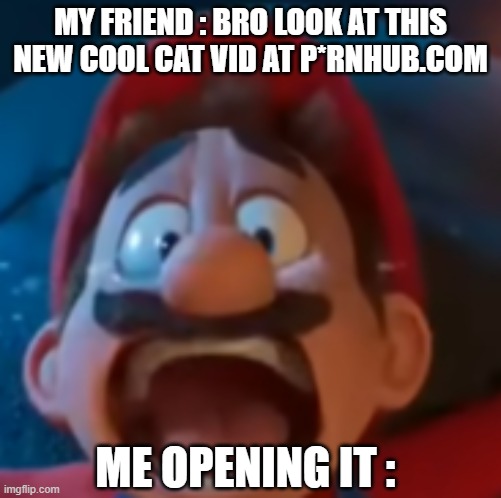 AAAAA | MY FRIEND : BRO LOOK AT THIS NEW COOL CAT VID AT P*RNHUB.COM; ME OPENING IT : | image tagged in funny,fun,memes,funny memes,mario,mario screaming | made w/ Imgflip meme maker