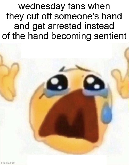xd | wednesday fans when they cut off someone's hand and get arrested instead of the hand becoming sentient | image tagged in boo hooo | made w/ Imgflip meme maker