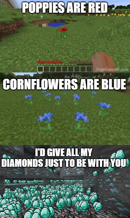 little something i thought of this morning, happy early valentine's day :) | POPPIES ARE RED; CORNFLOWERS ARE BLUE; I'D GIVE ALL MY DIAMONDS JUST TO BE WITH YOU | image tagged in valentine's day,minecraft,poem,aww | made w/ Imgflip meme maker