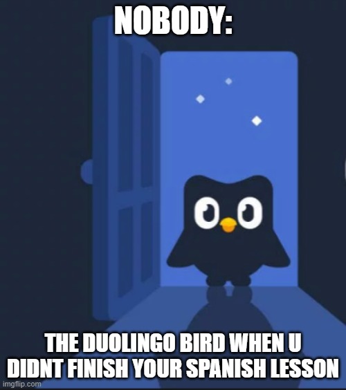 Hes scary | NOBODY:; THE DUOLINGO BIRD WHEN U DIDNT FINISH YOUR SPANISH LESSON | image tagged in duolingo bird | made w/ Imgflip meme maker