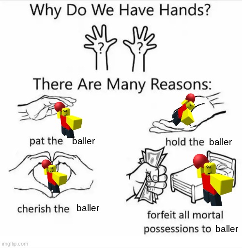 Why do we have hands? (all blank) | baller; baller; baller; baller | image tagged in why do we have hands all blank | made w/ Imgflip meme maker