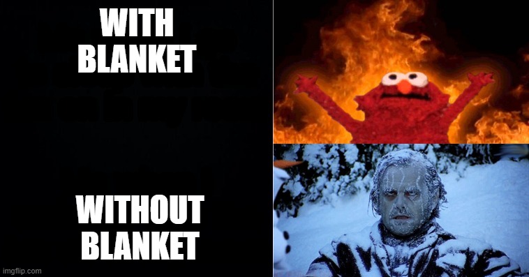 WITH
BLANKET; WITHOUT
BLANKET | made w/ Imgflip meme maker